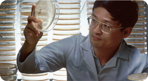 Scientist looking at a petri dish